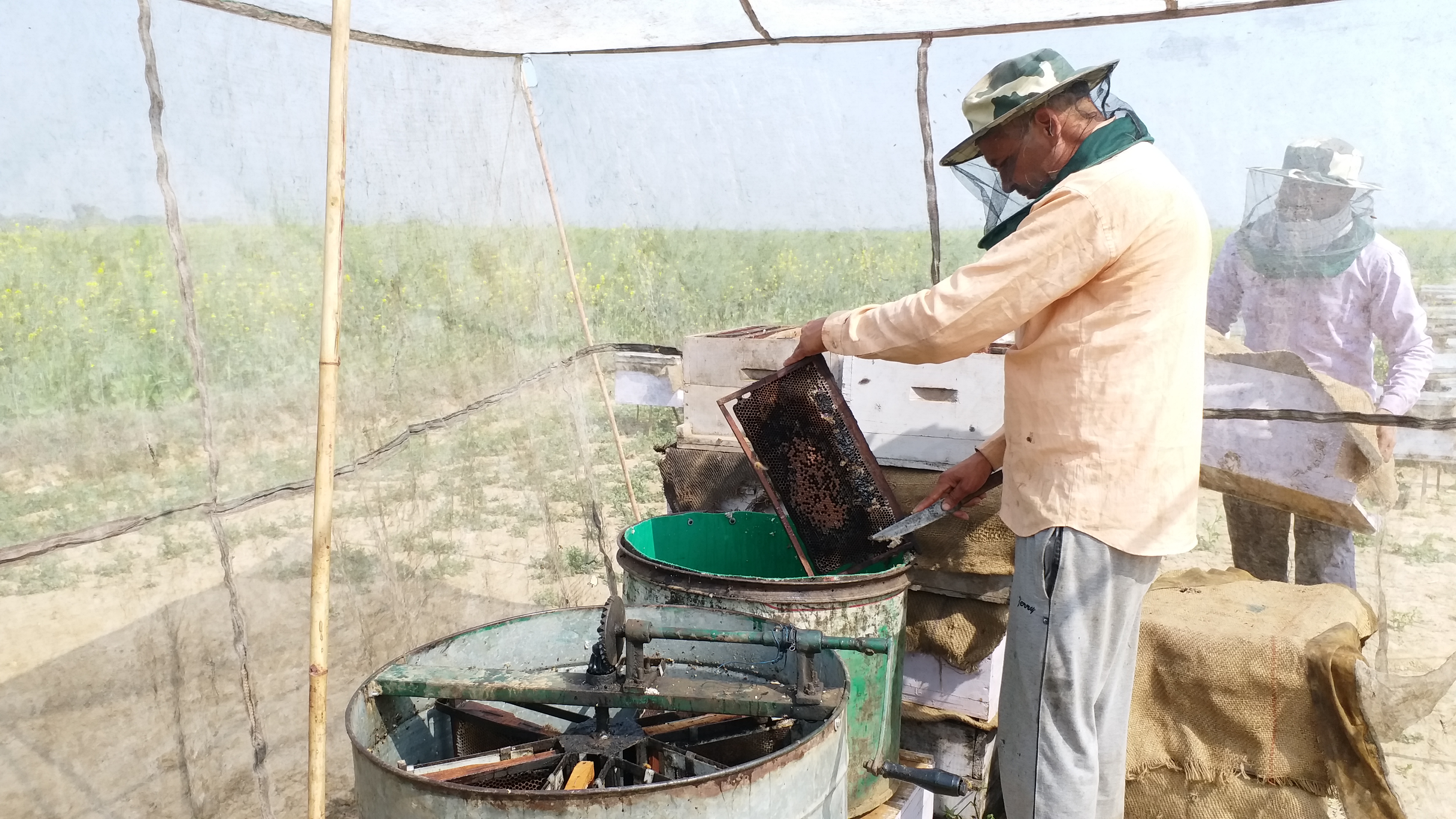 bee-keeping-business-in-nuh-district-haryana