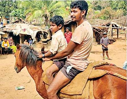 ఇంటికో గుర్రం.. అదే గుర్రాల గ్రామం