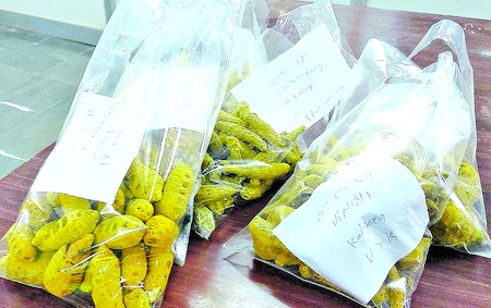 turmeric-crop-purchases-at-market-yard-in-nizamabad