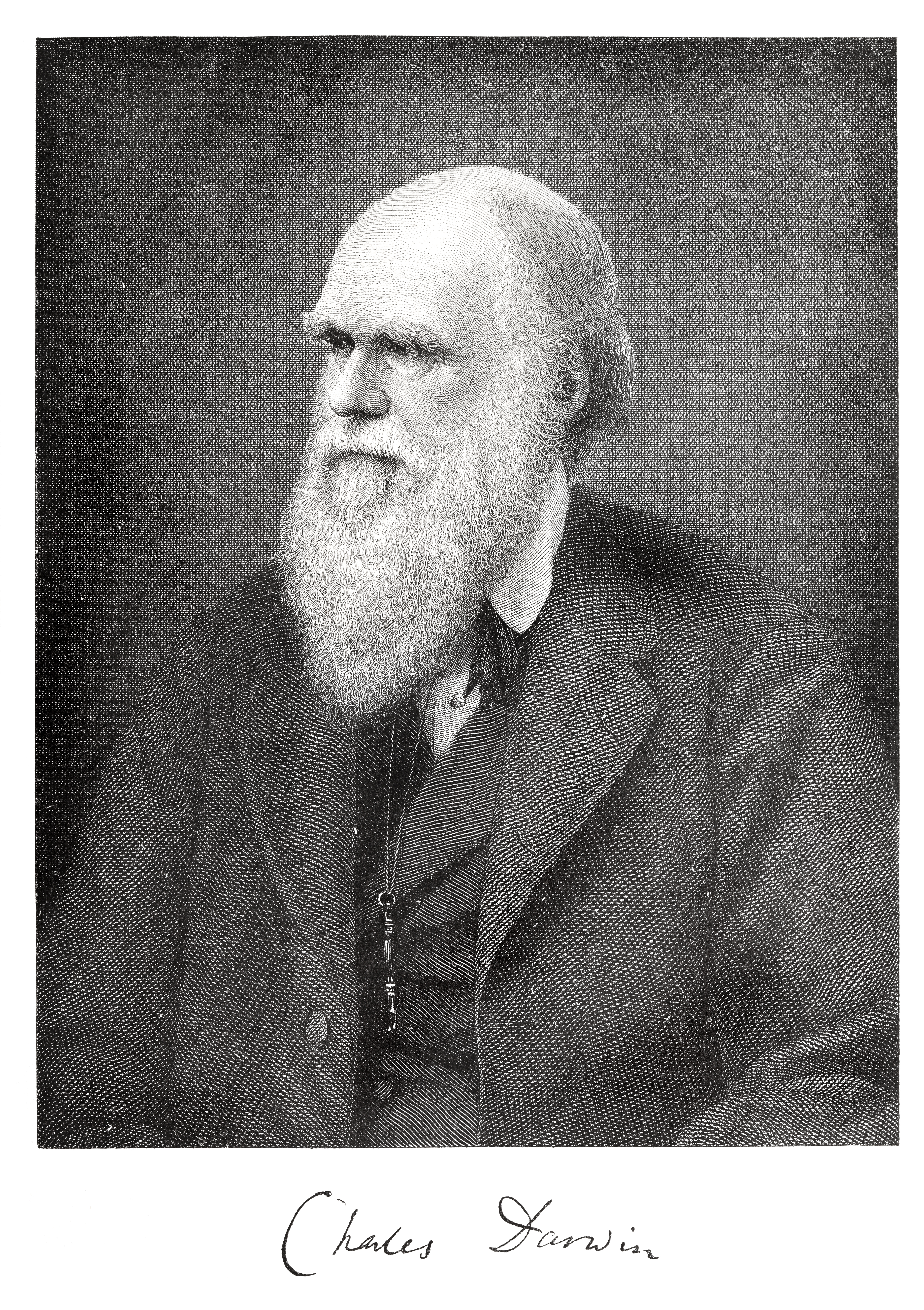 Charles Robert Darwin ,father of evolution