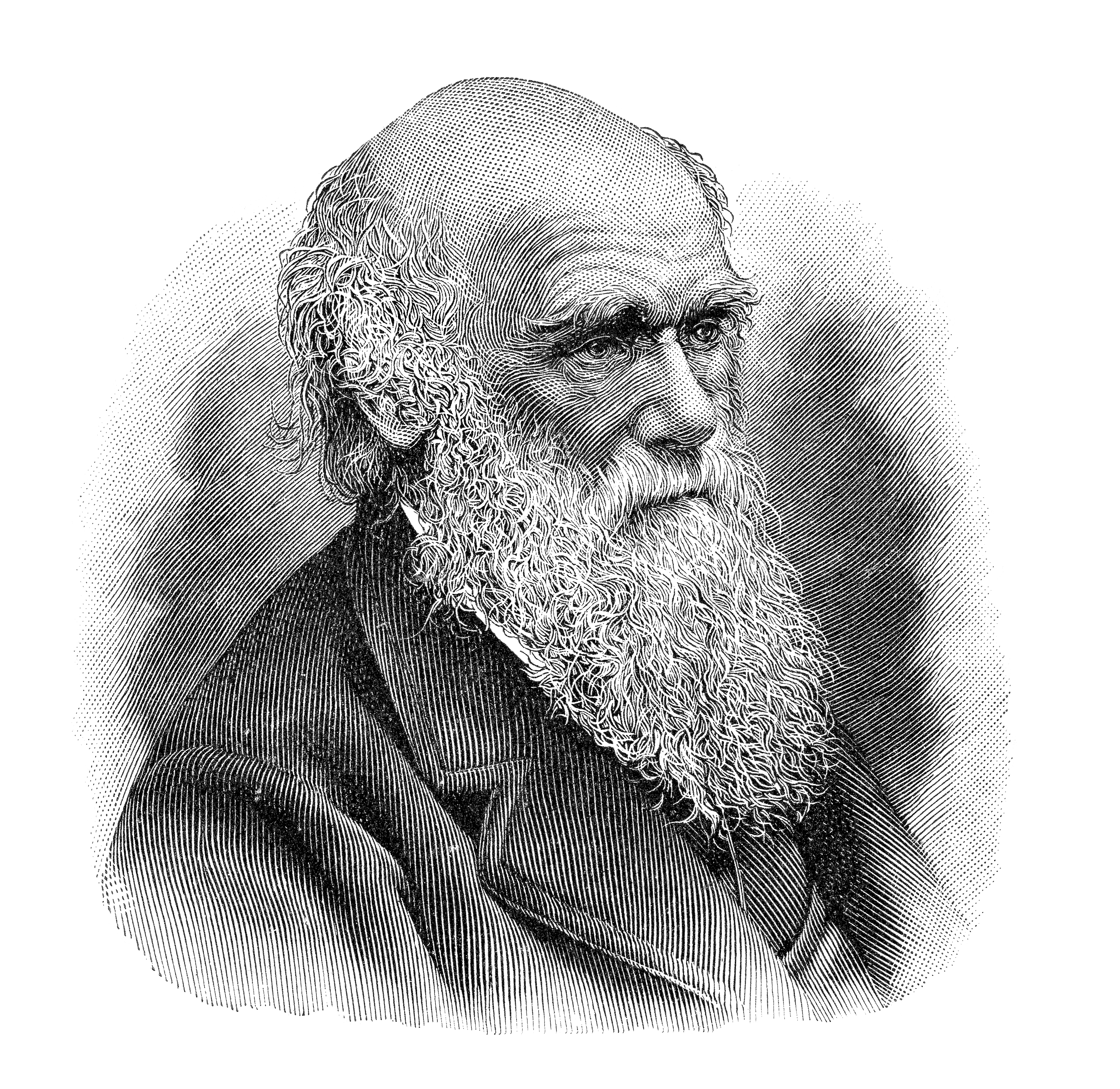 Charles Robert Darwin ,father of evolution