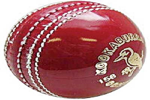 what is the speciality of different types of balls in cricket