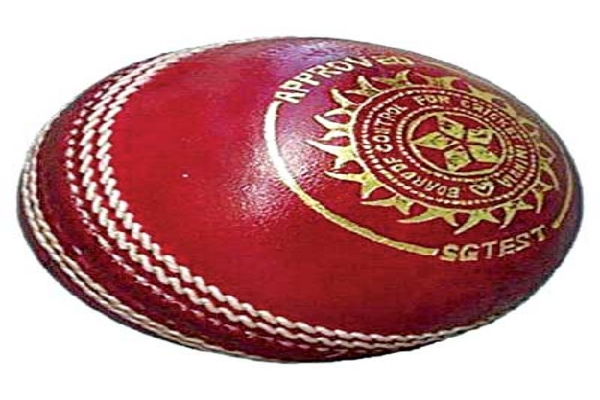 what is the speciality of different types of balls in cricket