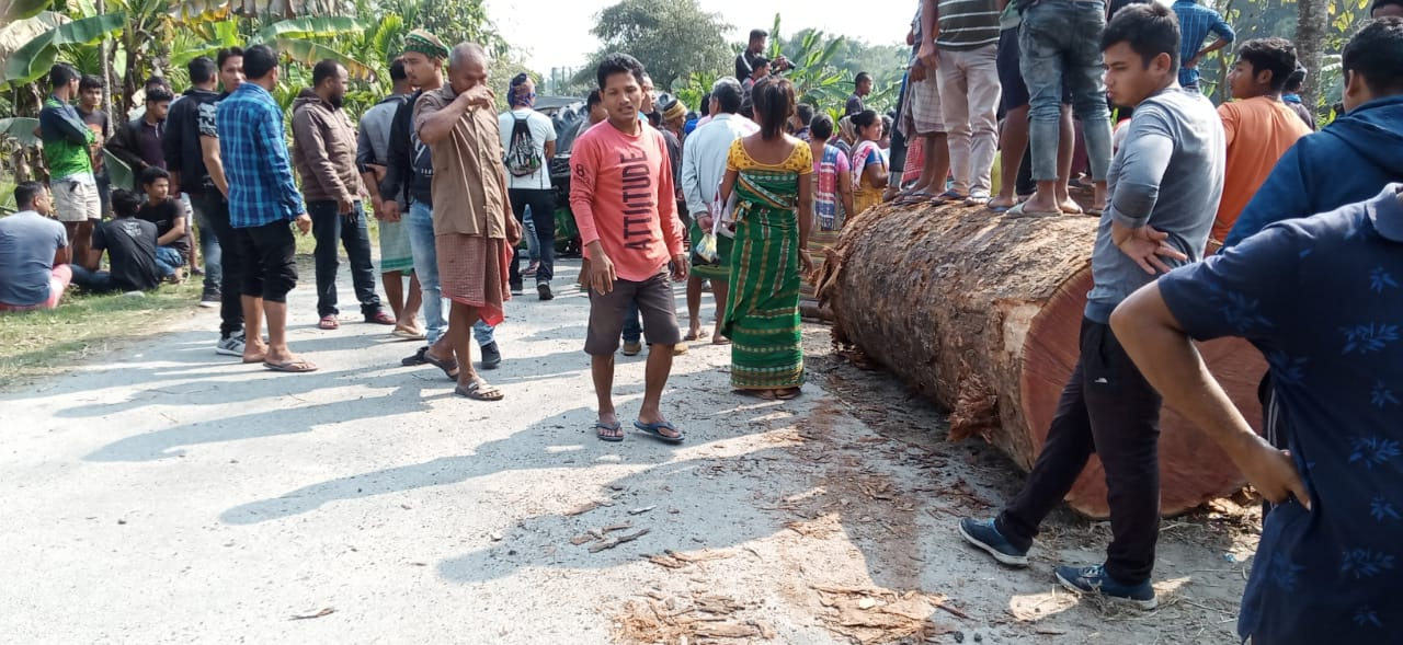 চোৰাং কাঠৰ ব্যৱসায়ৰ সৈতে বিপিএফ জড়িত থকাৰ অভিযোগ