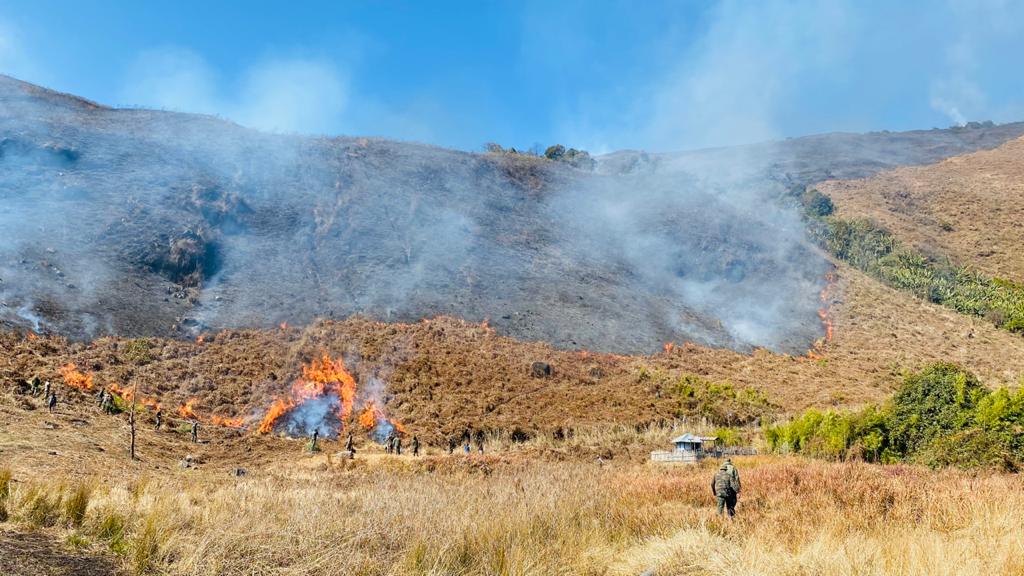 army helps in dousing forest fire in anini arunachal pradesh