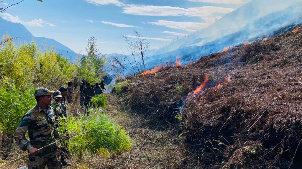 army helps in dousing forest fire in anini arunachal pradesh