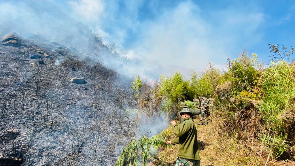 army helps in dousing forest fire in anini arunachal pradesh