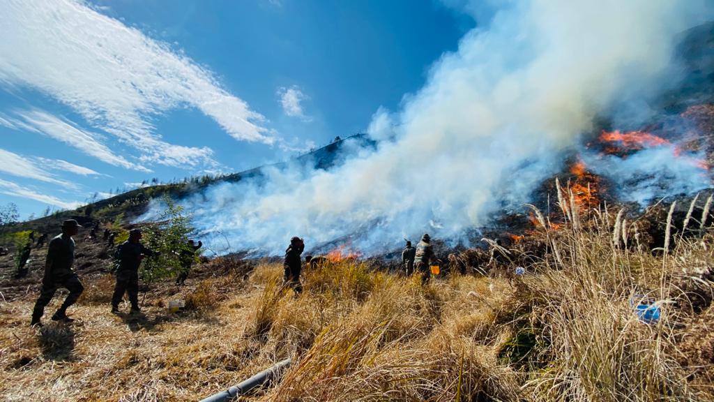 army helps in dousing forest fire in anini arunachal pradesh