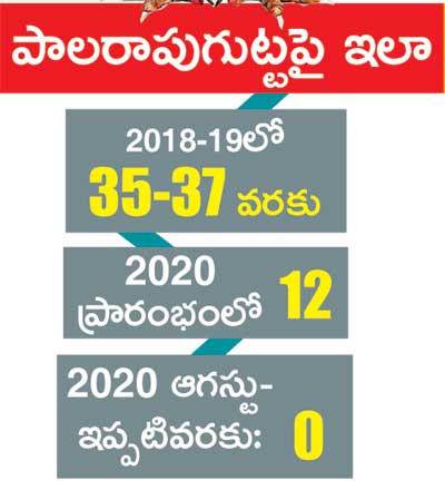 తెలంగాణలో రాబందులు