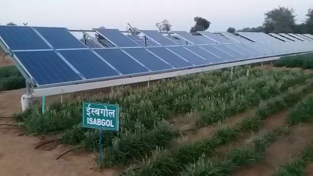 double income from solar farming, solar farming jodhpur,  केंद्रीय शुष्क क्षेत्र अनुसंधान संस्थान काजरी जोधपुर,  काजरी संस्थान जोधपुर,  कुसुम योजना राजस्थान,  Central Arid Zone Research Institute, Kazri Jodhpur,  Kazri Institute Jodhpur, Kusum Yojana Rajasthan