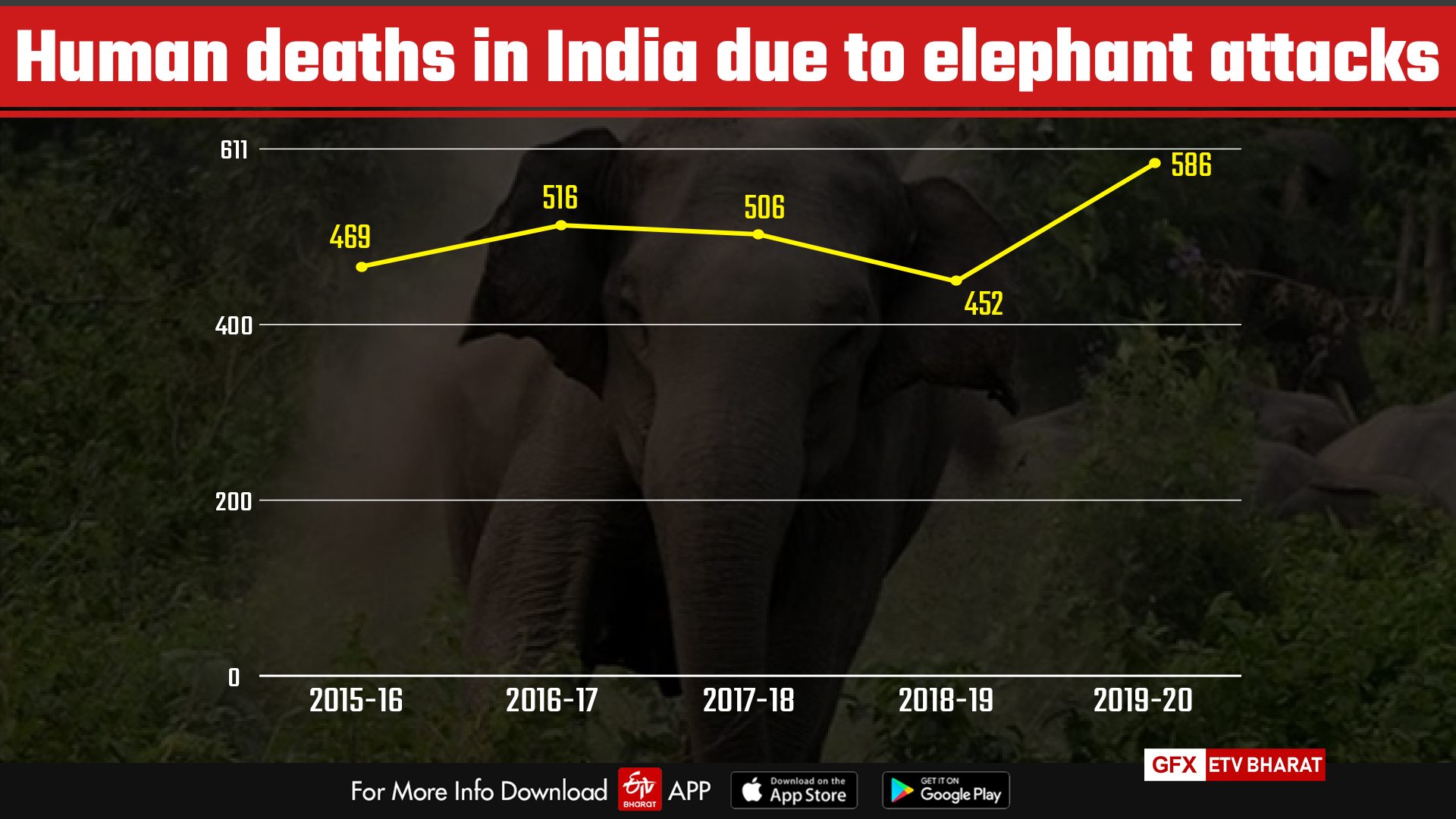 elephant attacks in India