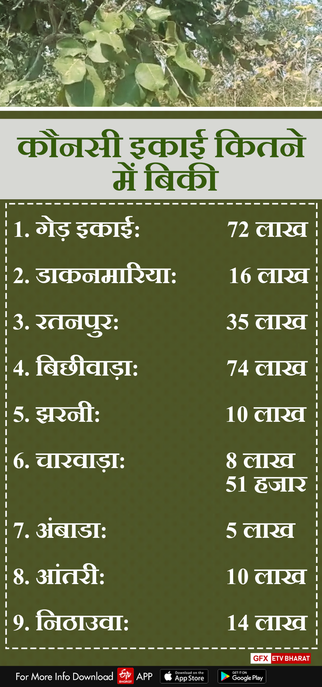 2.47 crore income from Tendupatta in dungarpur, Forest dwellers employment dungarpur, Tendupatta forests in Dungarpur, Beedi Industry from Tendupatta dungarpur, forest department dungarpur Earnings from tendupatt, डूंगरपुर वनविभाग तेंदूपत्ता टेंडर, डूंगरपुर में तेंदूपत्ता संग्रहण उद्योग