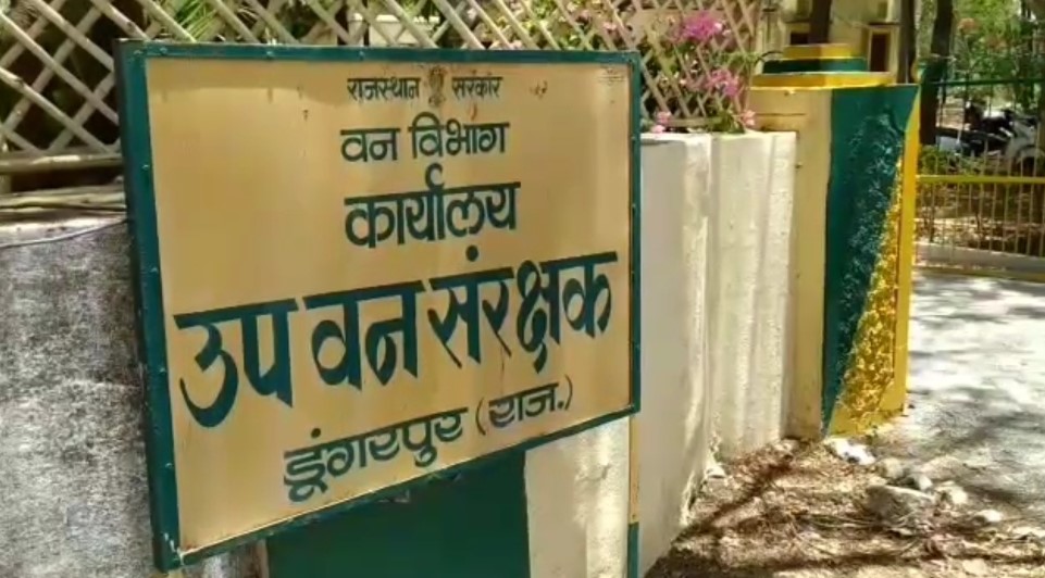 2.47 crore income from Tendupatta in dungarpur, Forest dwellers employment dungarpur, Tendupatta forests in Dungarpur, Beedi Industry from Tendupatta dungarpur, forest department dungarpur Earnings from tendupatt, डूंगरपुर वनविभाग तेंदूपत्ता टेंडर, डूंगरपुर में तेंदूपत्ता संग्रहण उद्योग