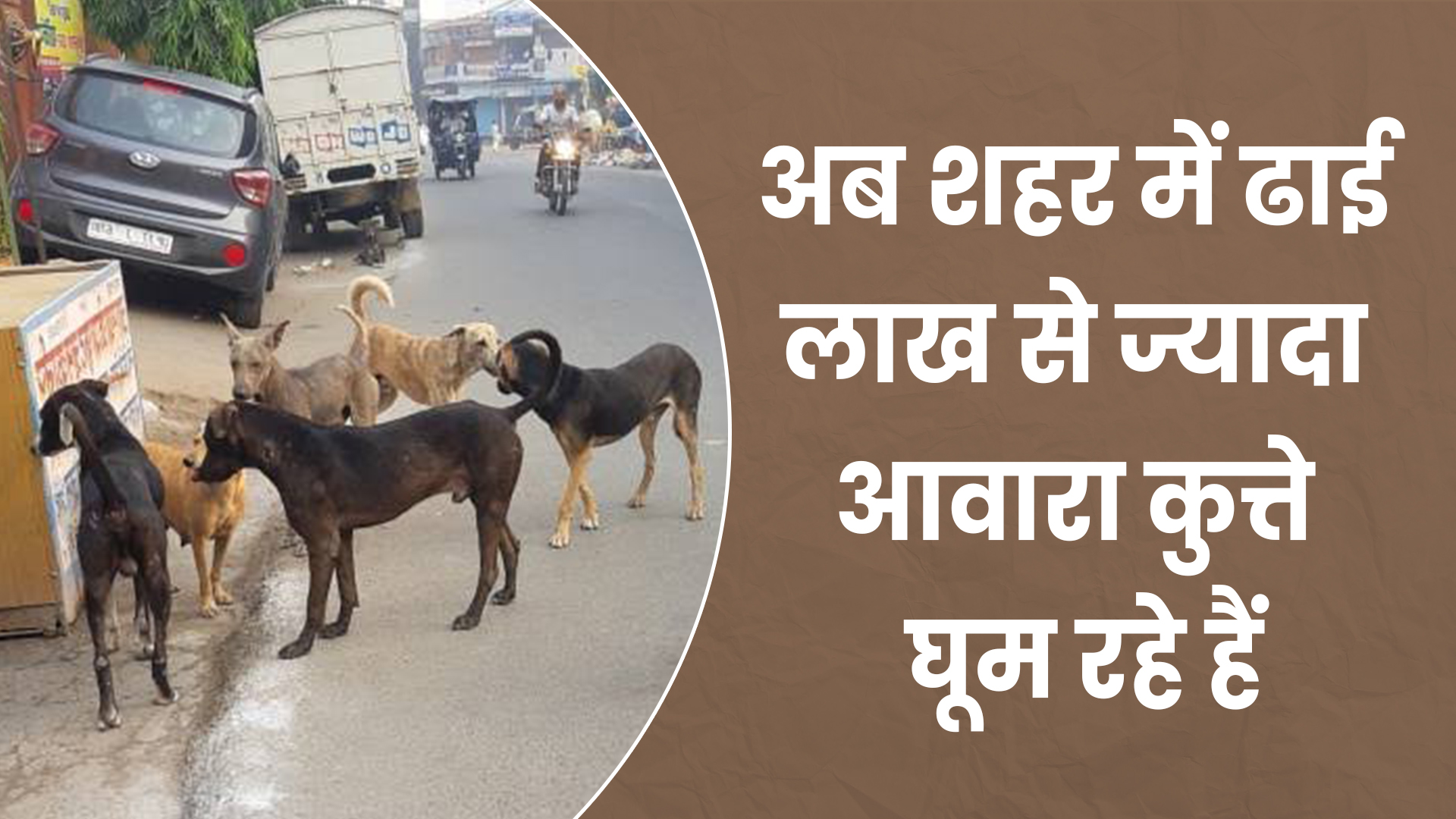 terror of street dogs in patna