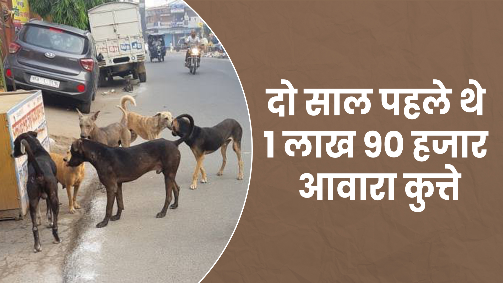 terror of street dogs in patna