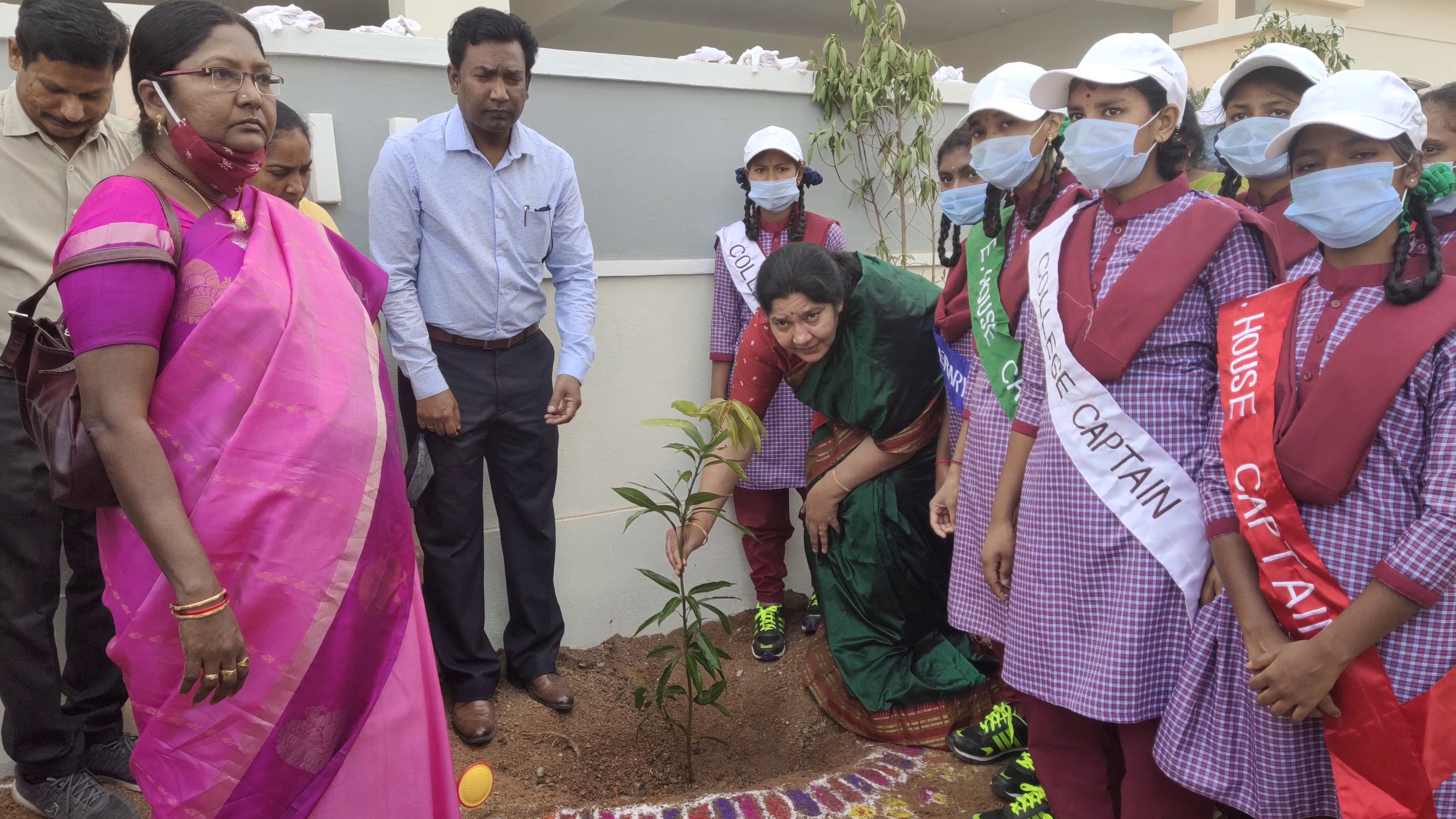 Minister Satyavati planted plants in 'Koti Vriksharchana'