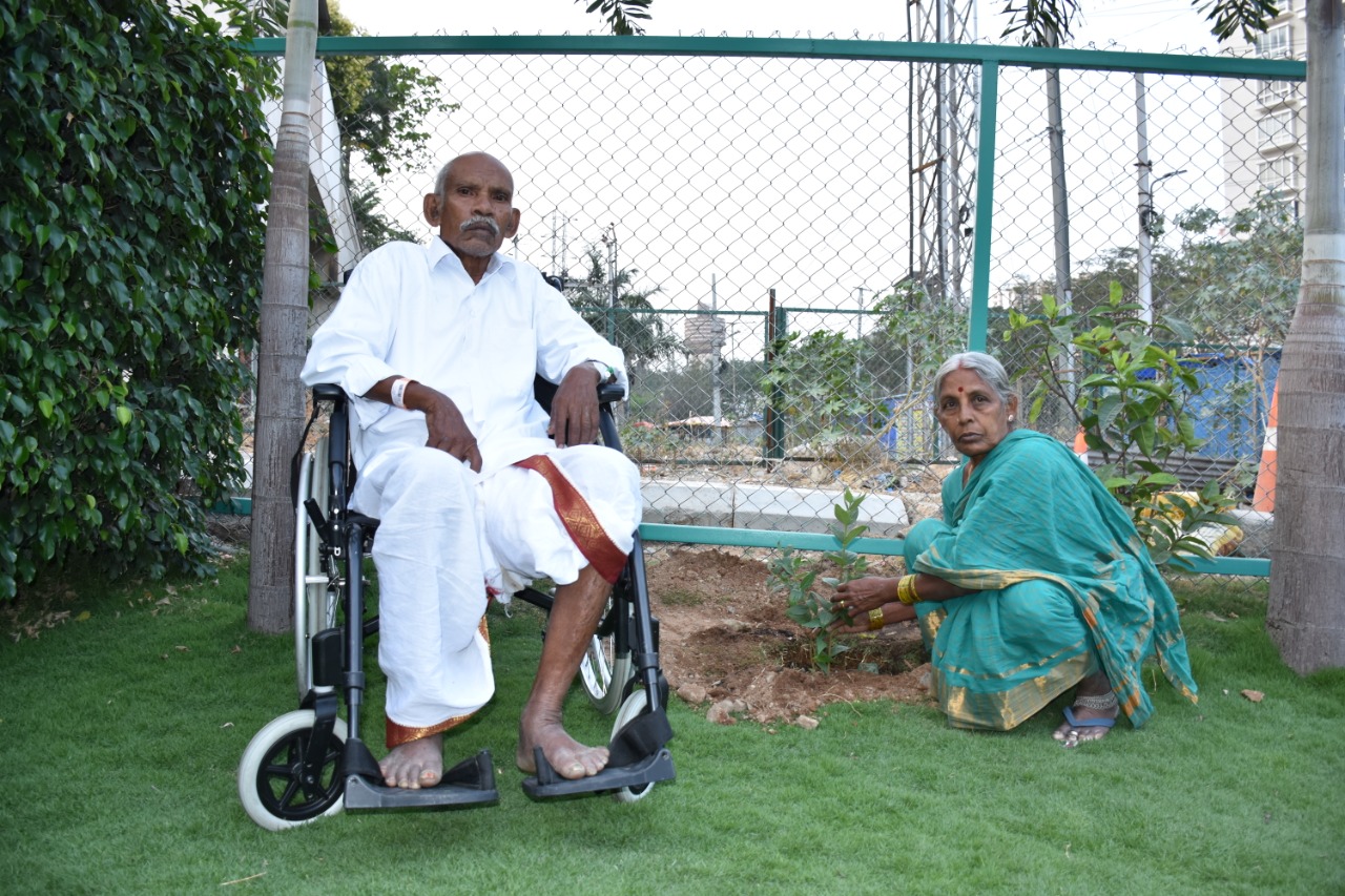 padmasri vanajeevi ramaiah planted sapling