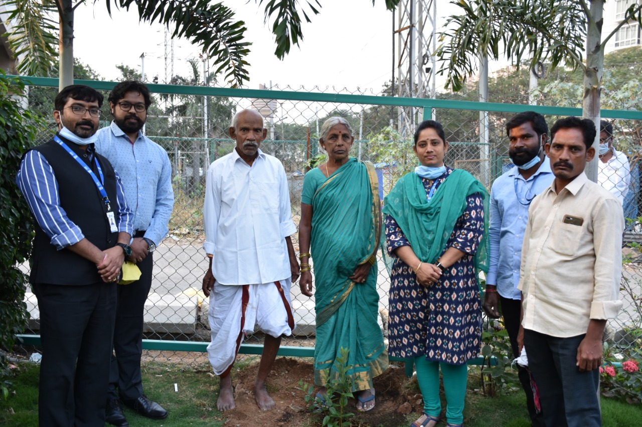 padmasri vanajeevi ramaiah planted sapling