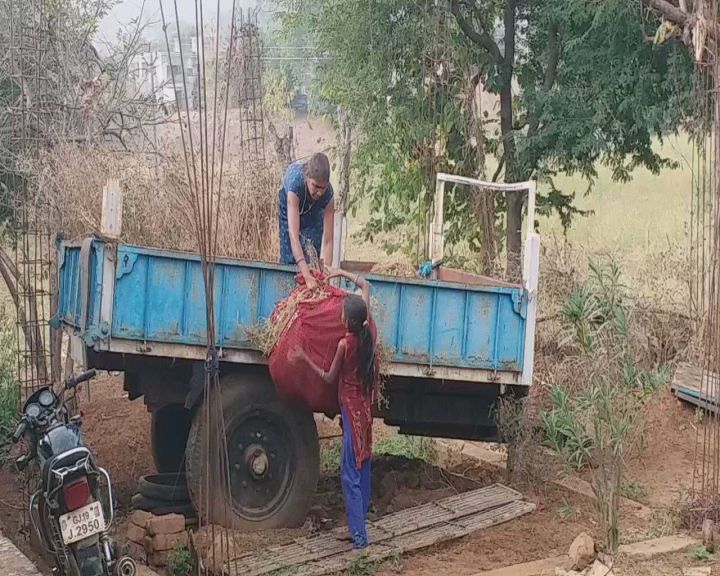 બપોરે અચાનક તુટી પડેલા વરસાદને પગલે ખેડૂતોમાં ચિંતાનું વાતાવરણ