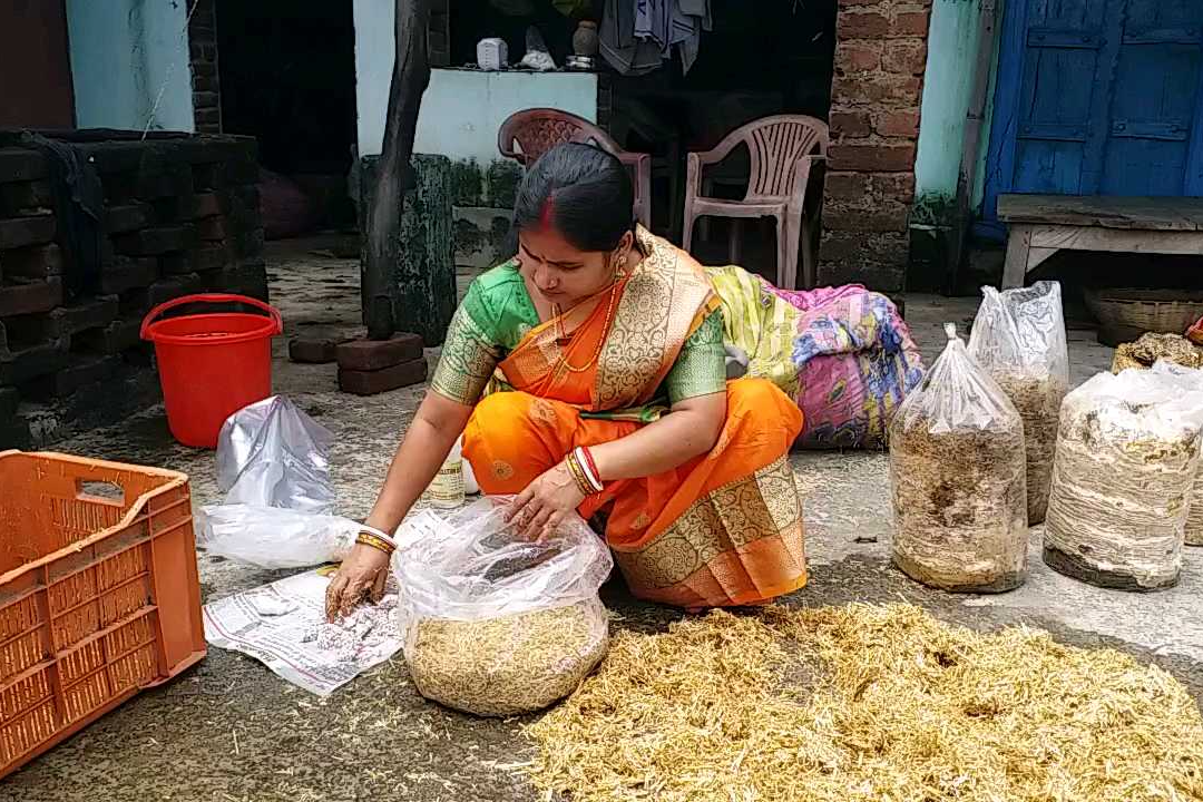 mushroom lady vinita kumari