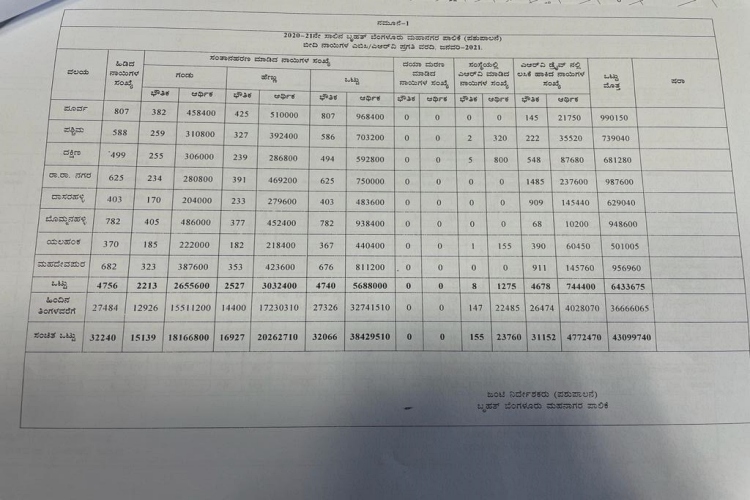 Vasectomy surgery for 27,326 street dogs in Bangalore