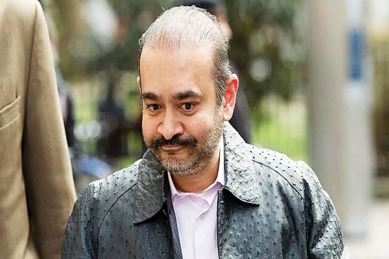 Nirav Modi extradition case