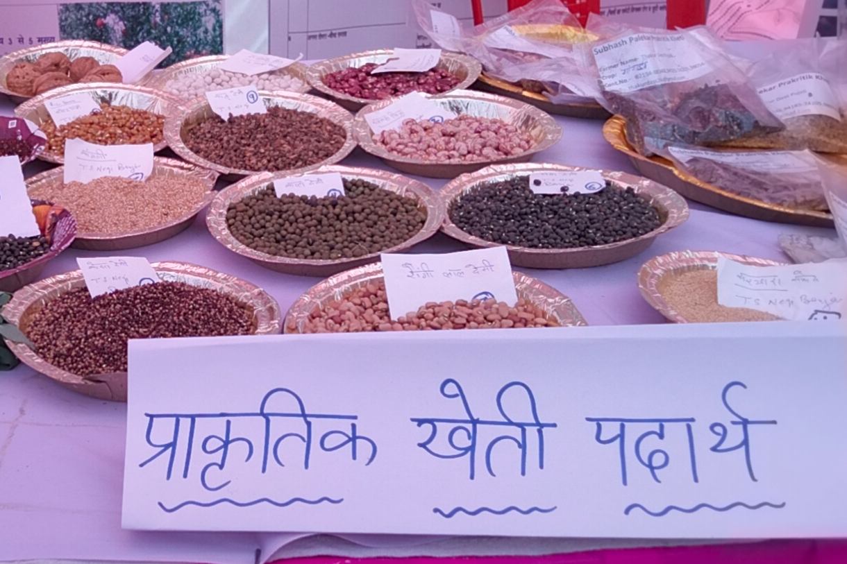 Conservation of traditional cereals of district kullu