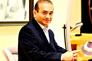 nirav modi to be extradited to india, uk court satisfied there is evidence of fraud