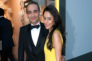 nirav modi to be extradited to india, uk court satisfied there is evidence of fraud