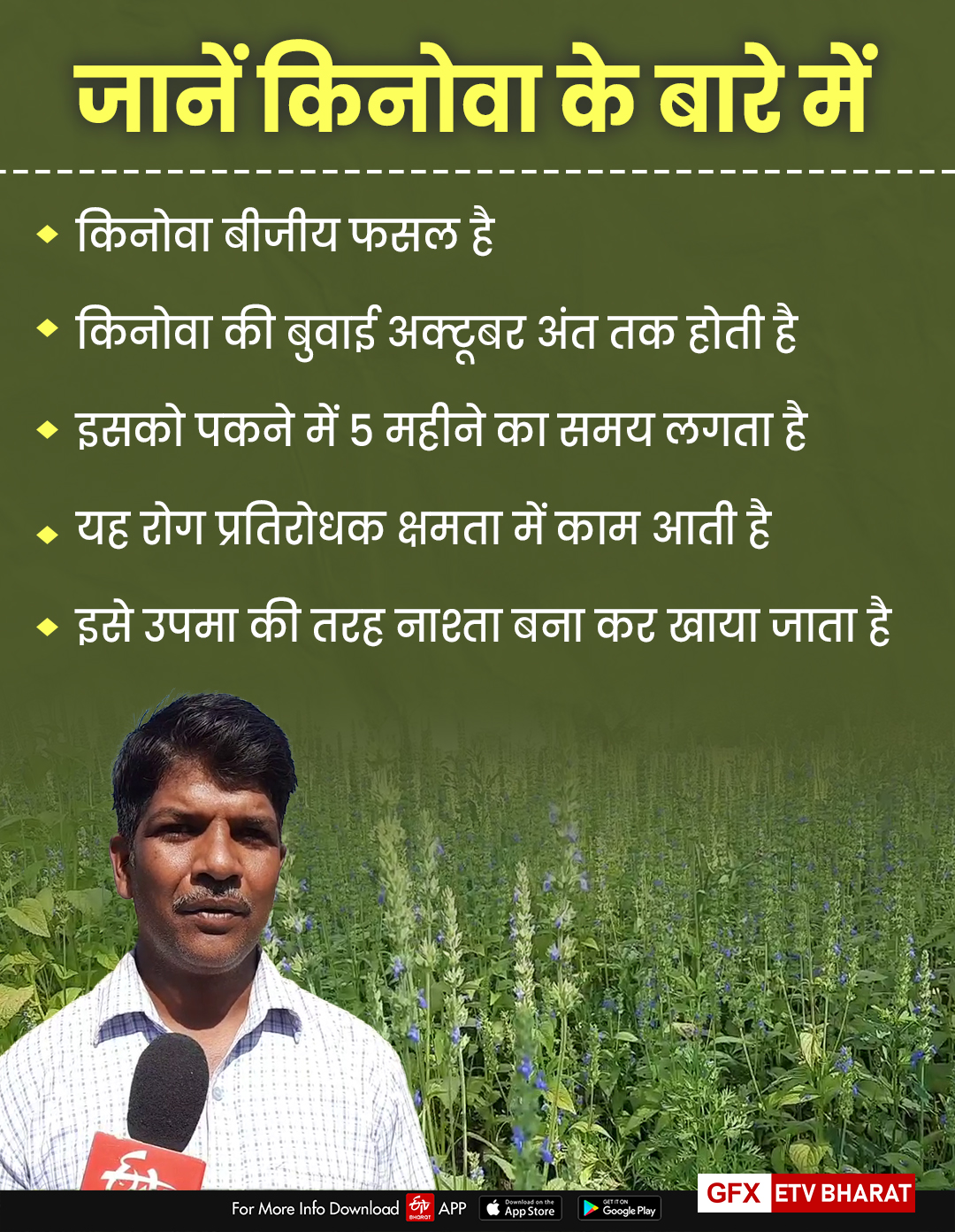 Farmer Radheshyam Rajsamand, black wheat, chia and kinova in rajsamand, Rajsamand farmer innovation