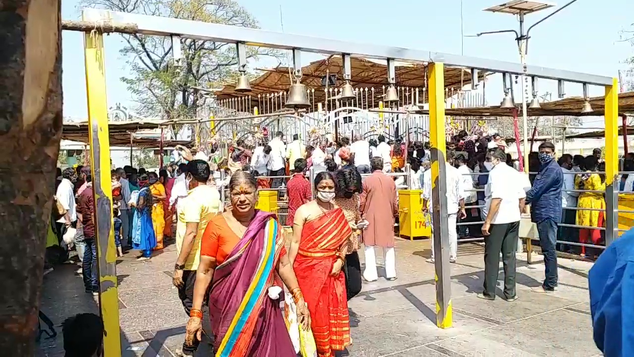 Devotees float to the Medaram Sammakka Saralammala temple in mulugu district