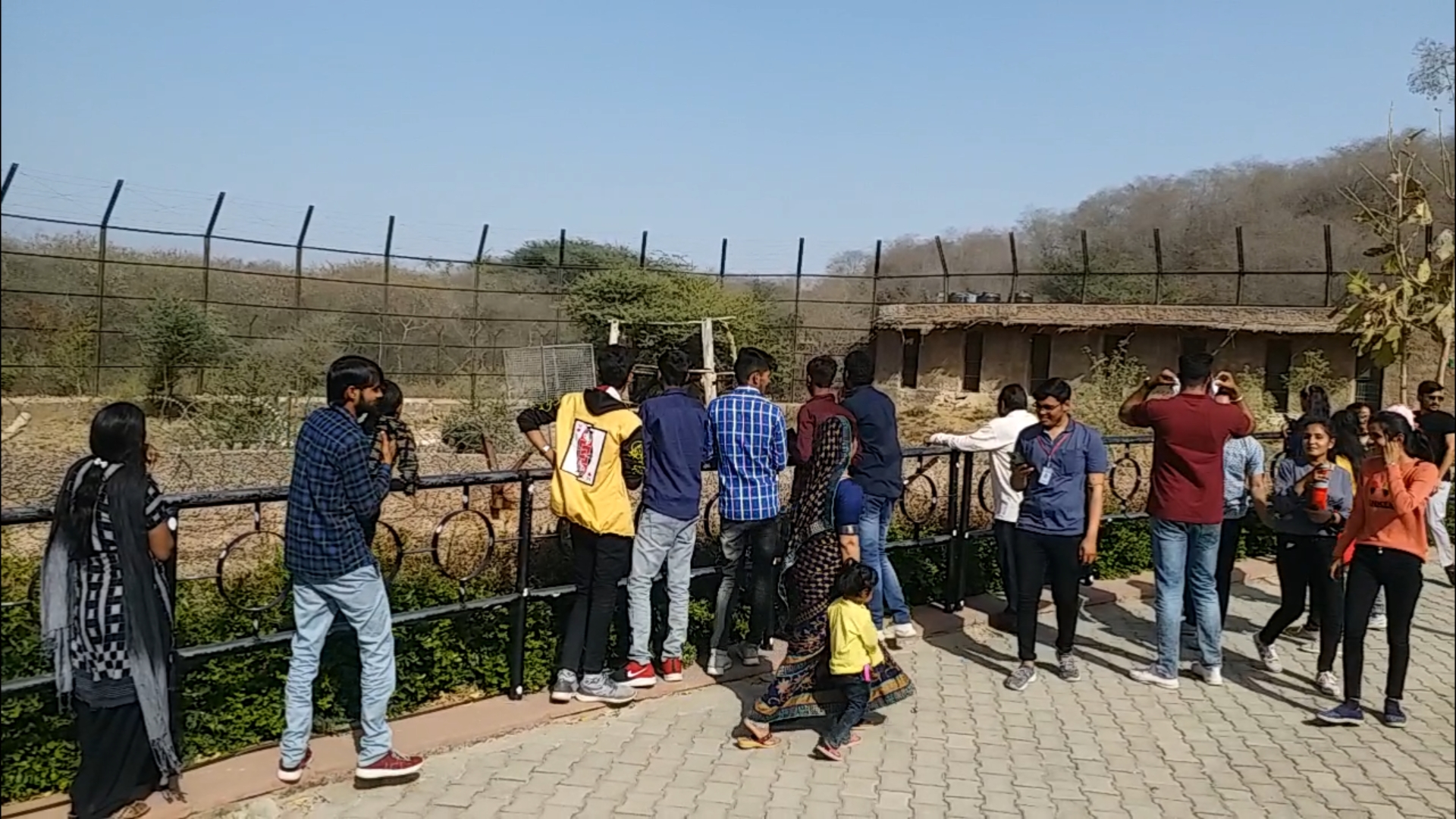 nahargarh biological park in jaipur , jaipur latest hindi news