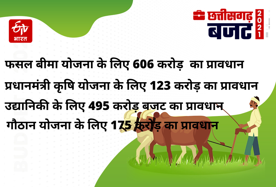 what-agriculture-sector-got-in-chhattisgarh-budget-2021-22