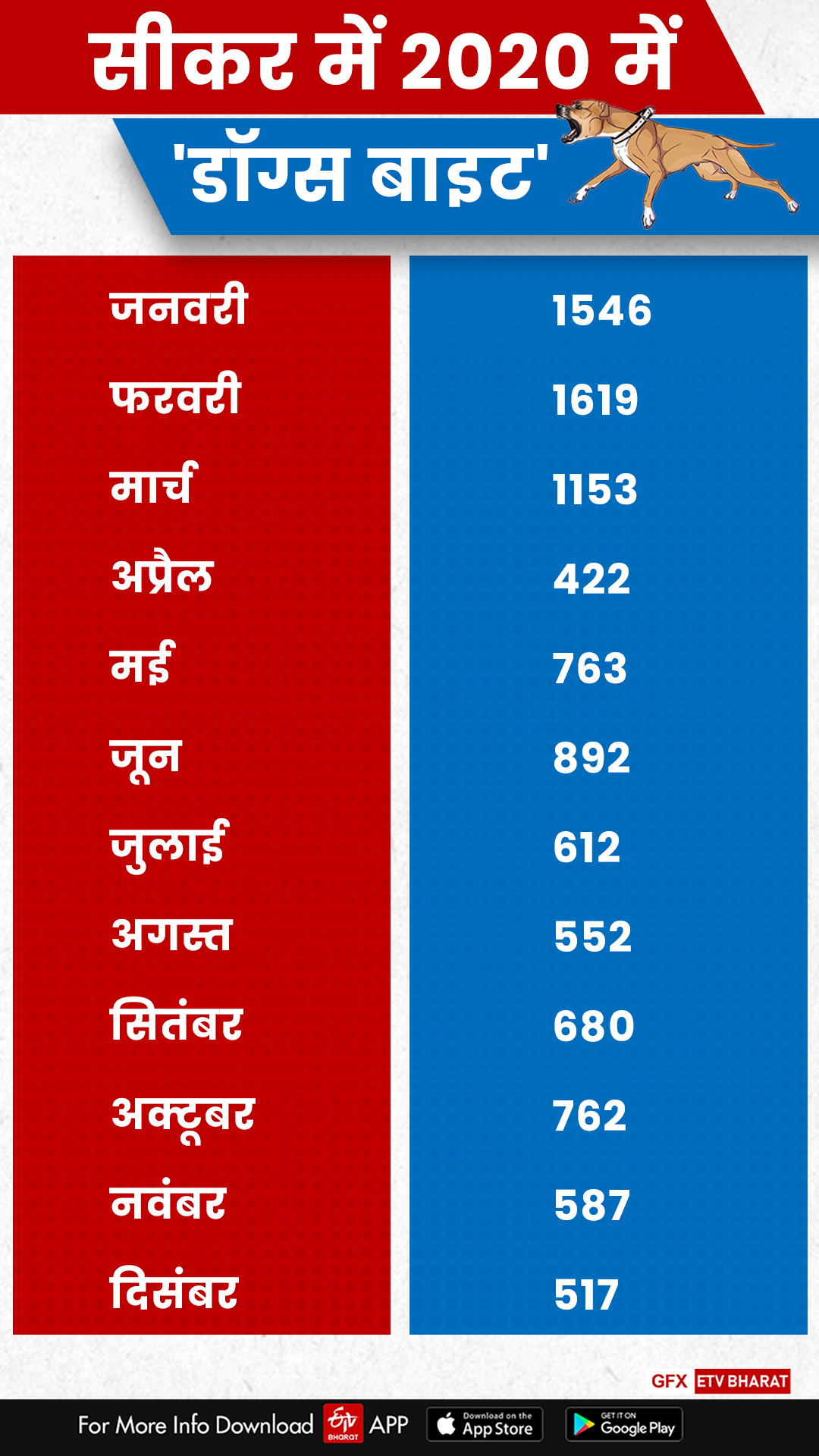 The risk of rabies in Sikar, 10000 people stray dogs in 1 year, Latest news of Sikar