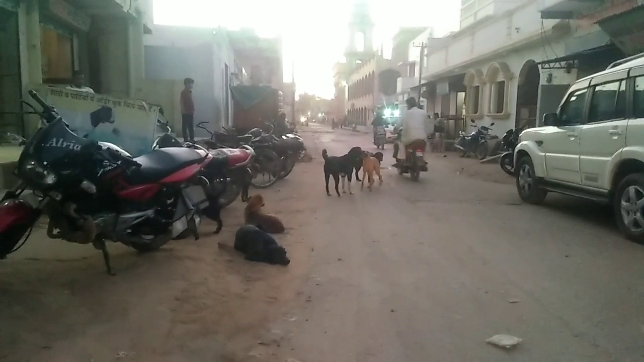 The risk of rabies in Sikar, 10000 people stray dogs in 1 year, Latest news of Sikar