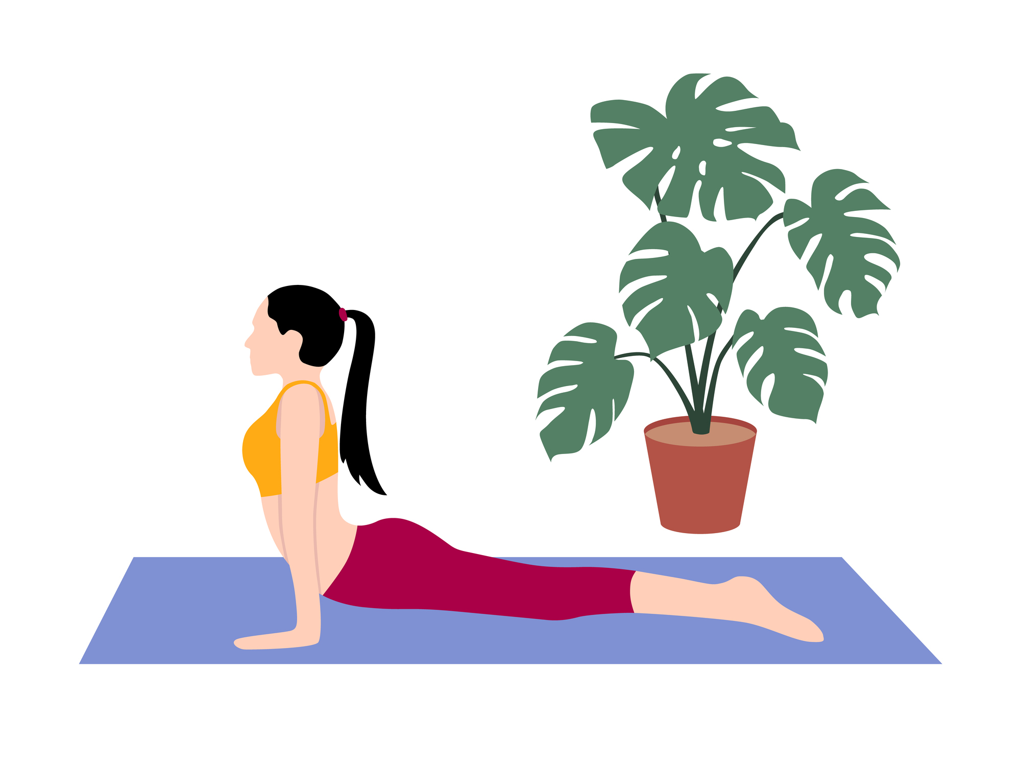 Cobra Stretch (Bhujangasana)