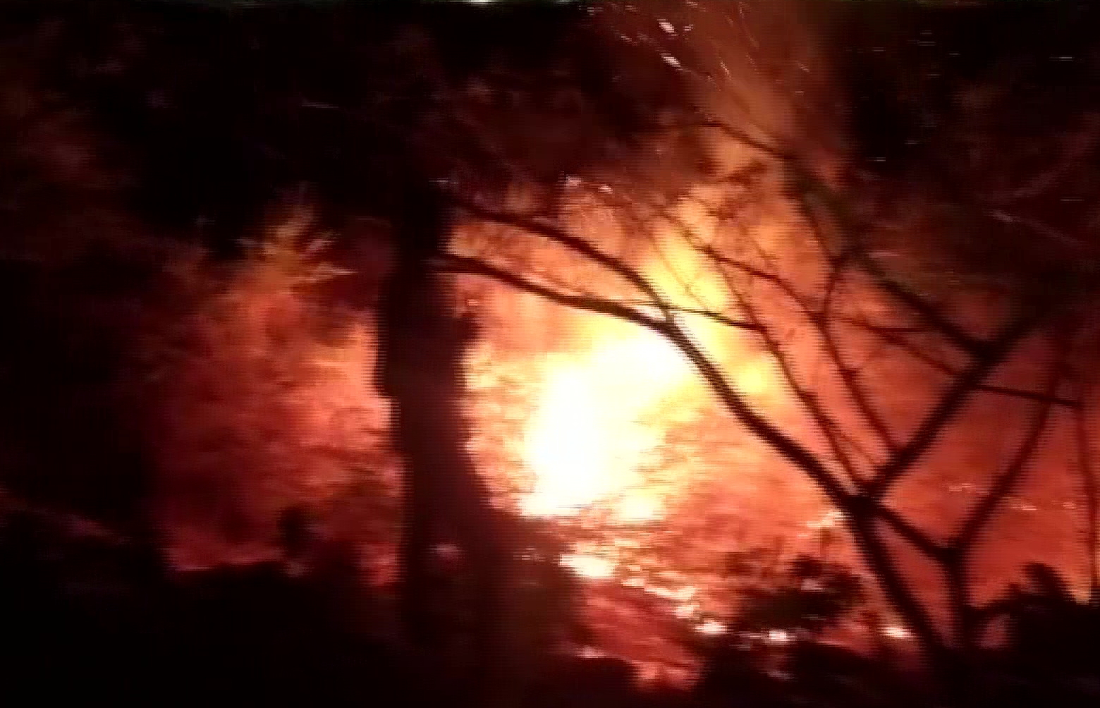 A fire broke out at Bellandur Lake