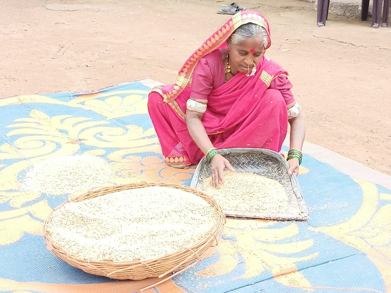 तांदूळ स्वच्छ करताना शांताबाई