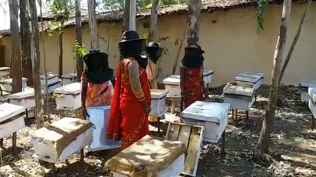 women-of-surajpur-are-earning-by-beekeeping