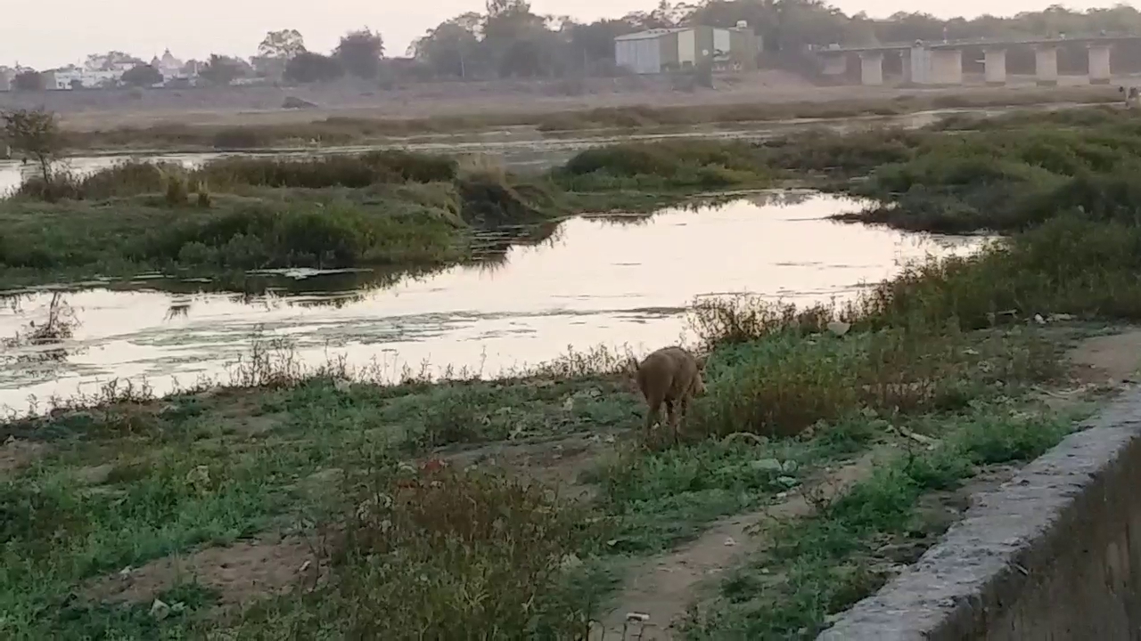 dirt-spread-across-mahanadi