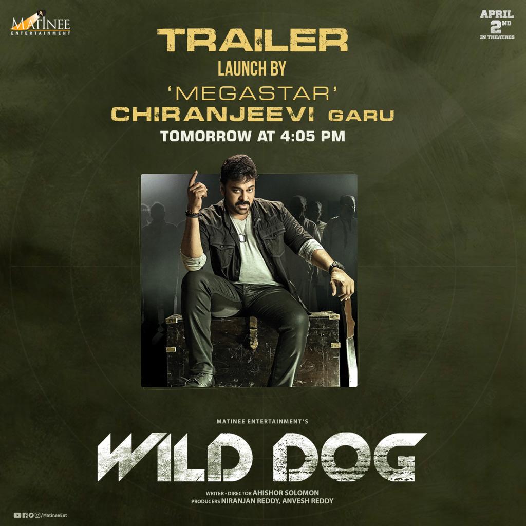 trailers of wild dog