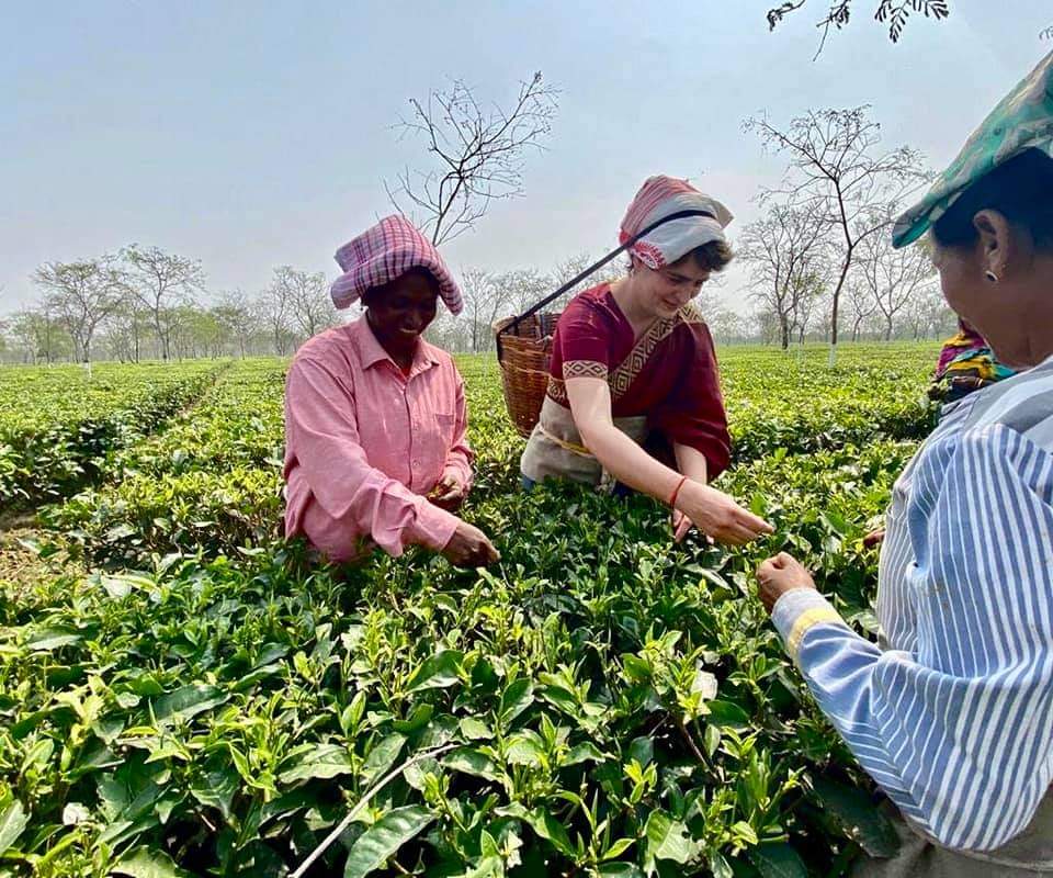 As_Tezpur_assam-tea-workers-are-deprived-of-getting-st-category_img_7203907