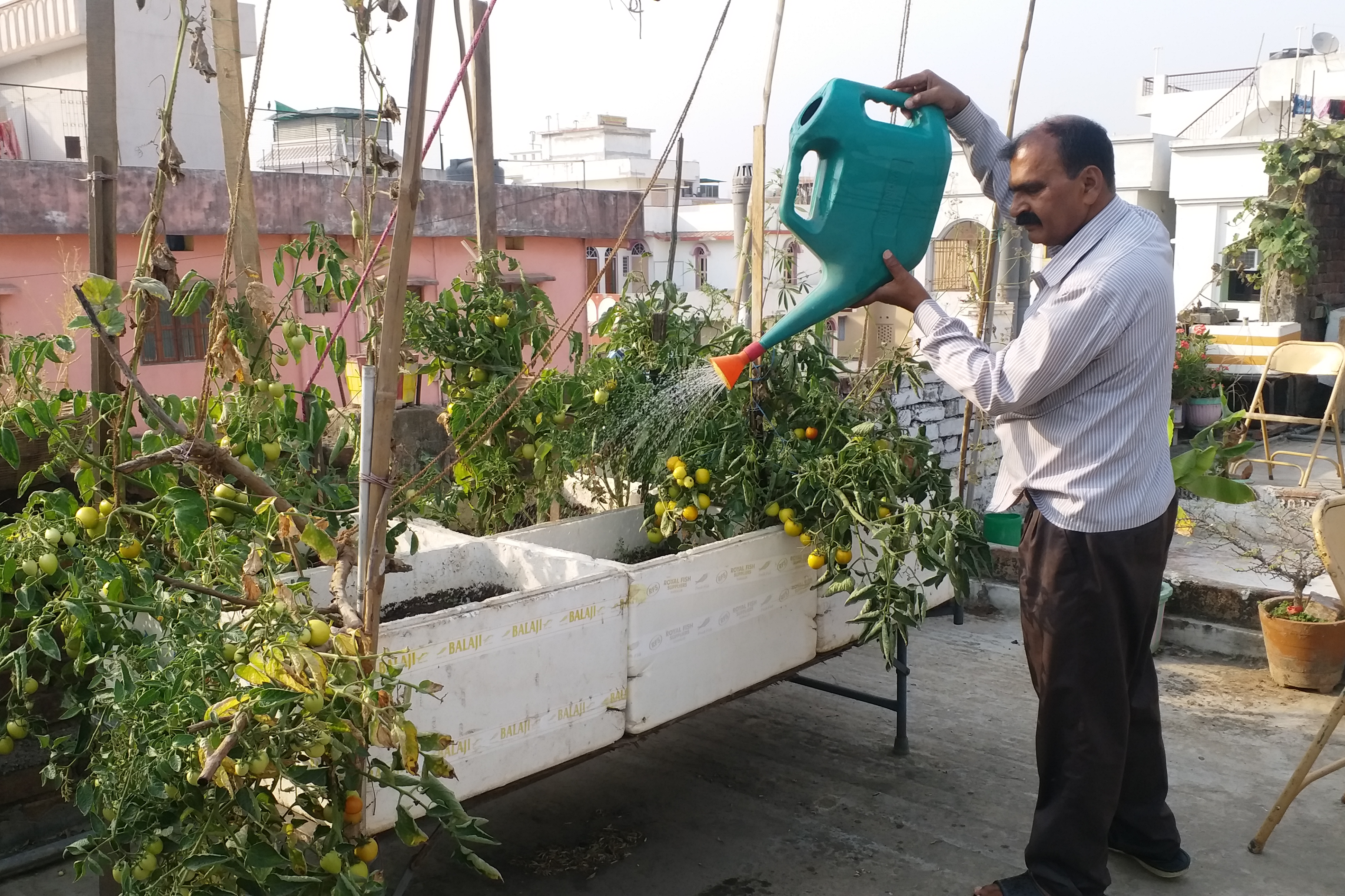 rooftop gardening in patna