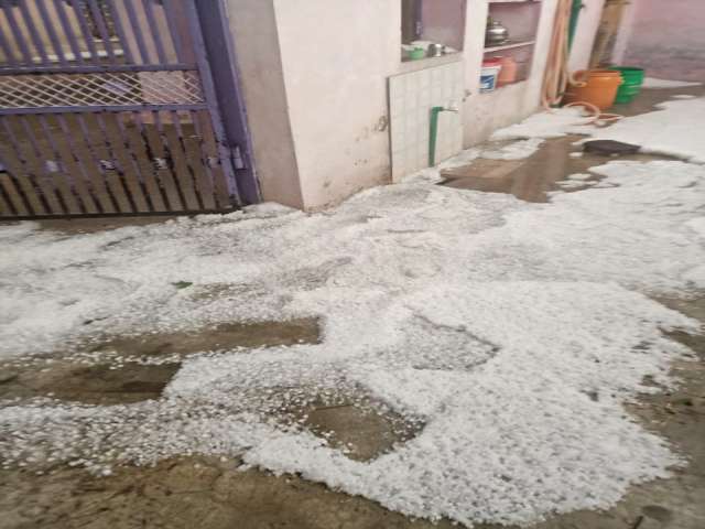 kota news, Crop loss due to hail