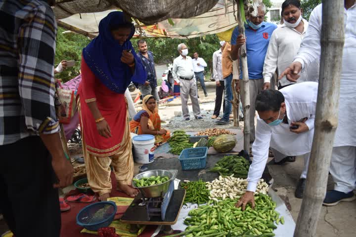 Pauni pasari yojana started in Bilaspur