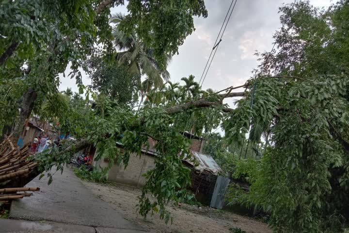 West Bengal: One minute's storm kills two, destroys huge property