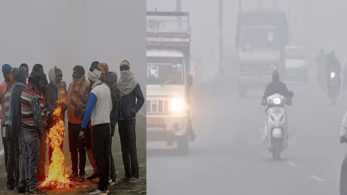 The cold in Punjab broke the record of last one decade