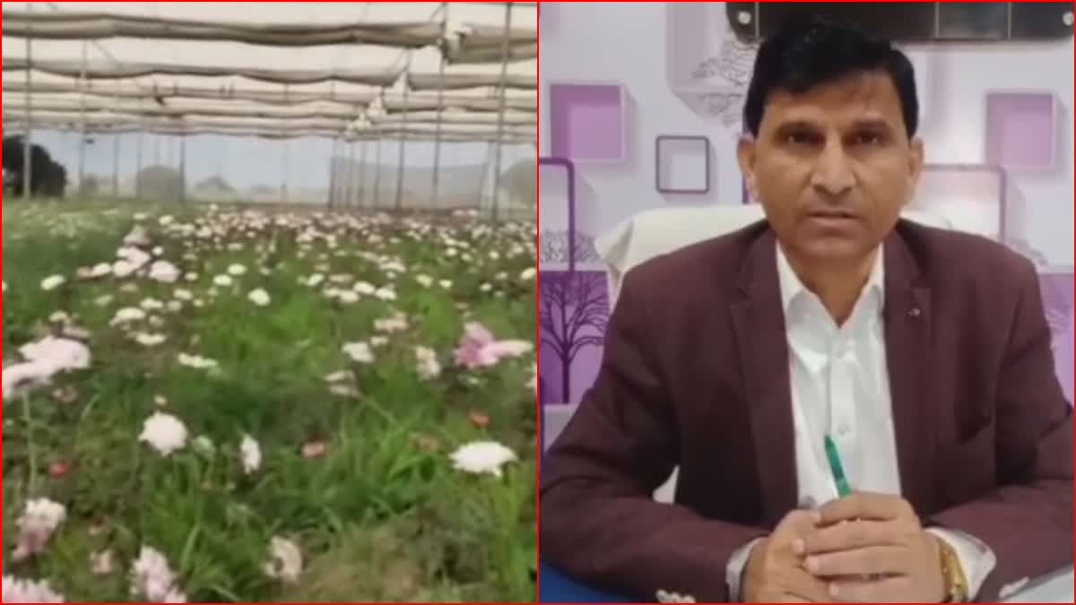 flower cultivation in palwal