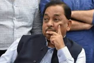 Rajya Sabha: Will Narayan Rane be rewarded for loyalty?