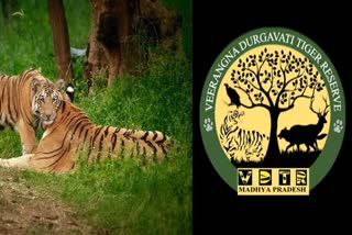 Veerangna Durgavati Tiger Reserve
